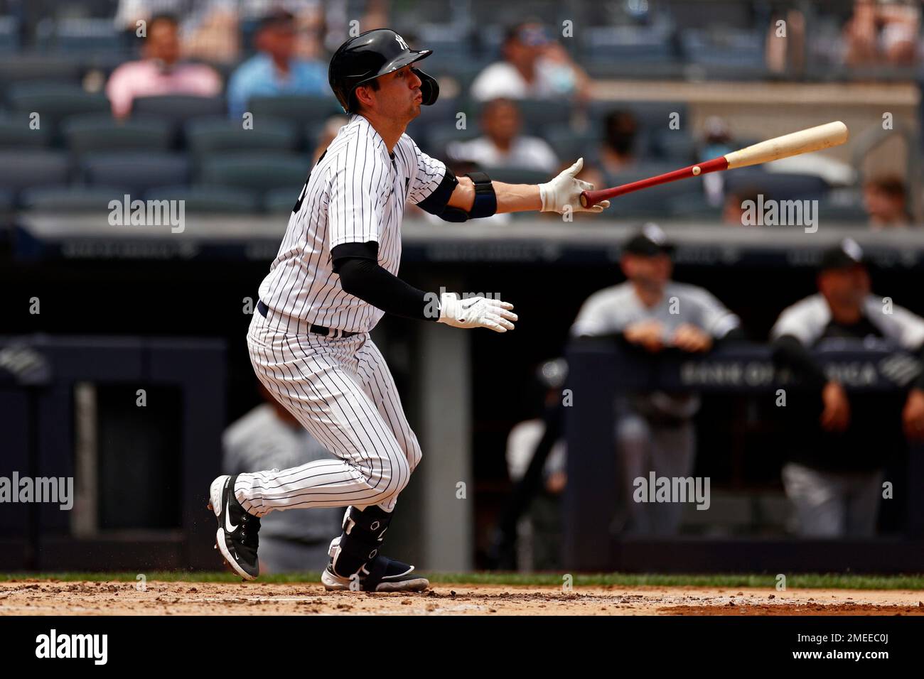 New York Yankees Kyle Higashioka at bat during the third inning of