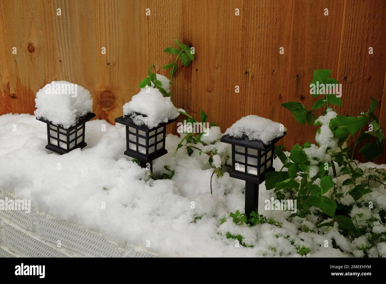The black street lamps covered in snow in a park Stock Photo - Alamy