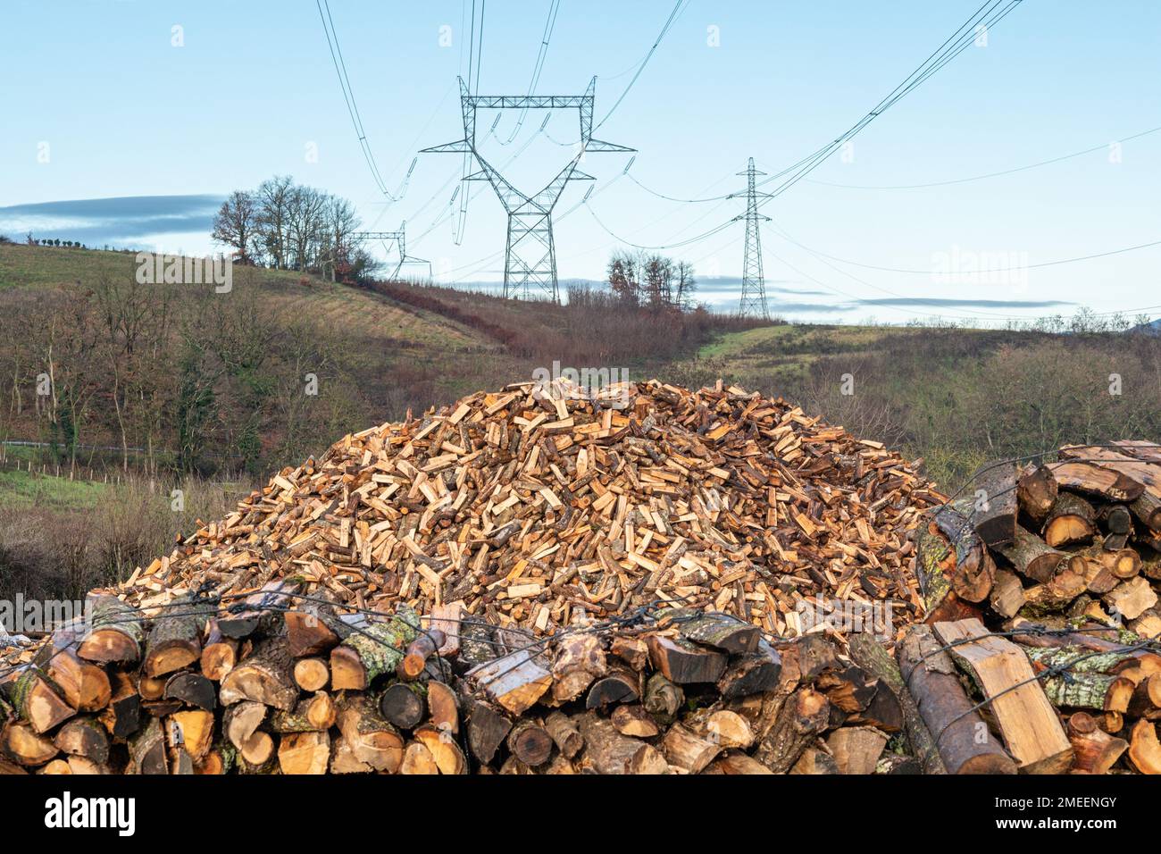 France, Fleurieux sur l Arbresle, 2023-01-03.  A pile of firewood with electric pylons in the background. Photograph by Franck CHAPOLARD Stock Photo