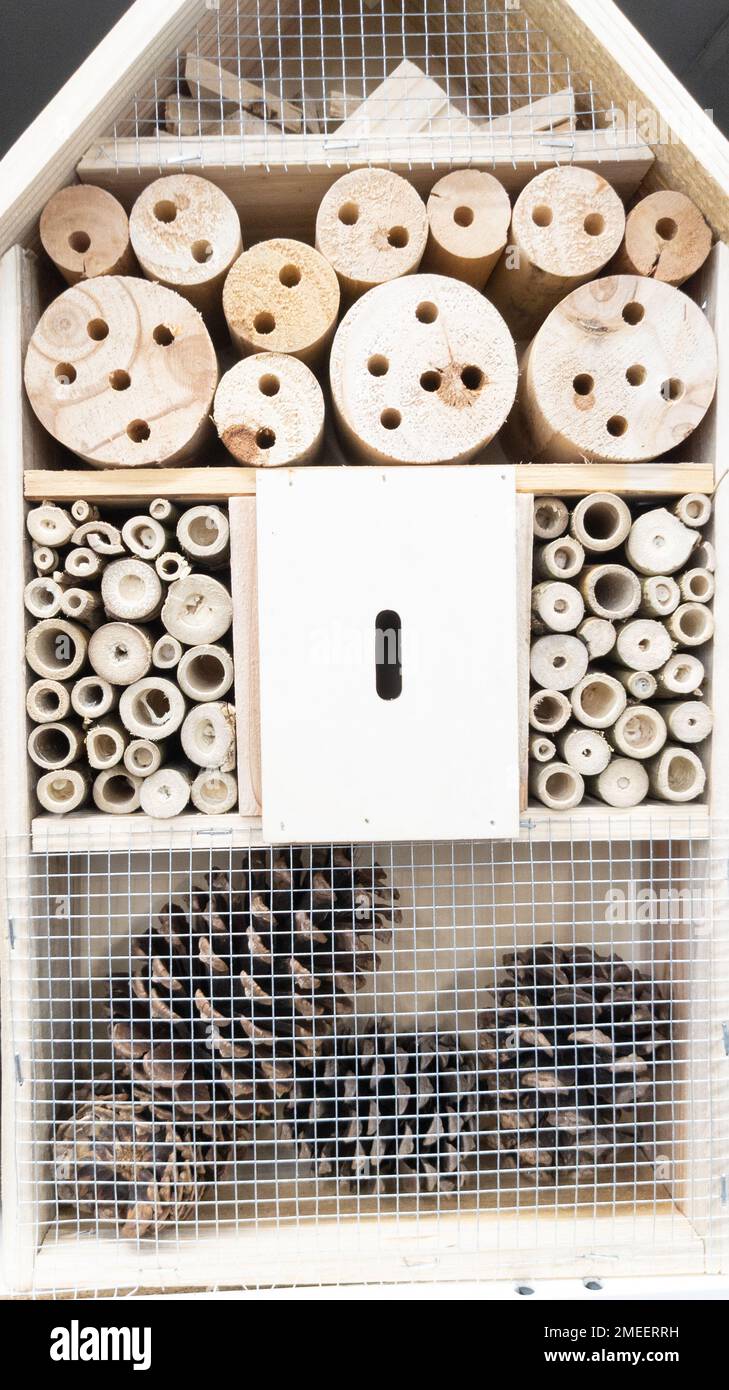 Insect hotel wooden give protection and nesting aid to bees and other insects in natural park forest Stock Photo