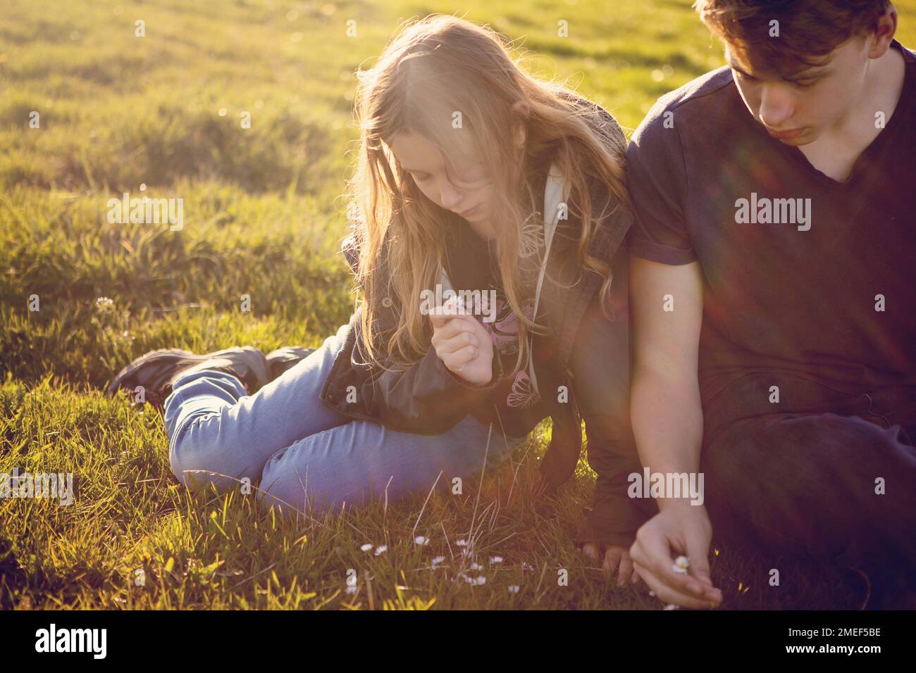 Brother and sister, siblings, boy and girl, children during sunset, on a lawn, grass, observing flowers and nature. Sharing, lovely family moment Stock Photo