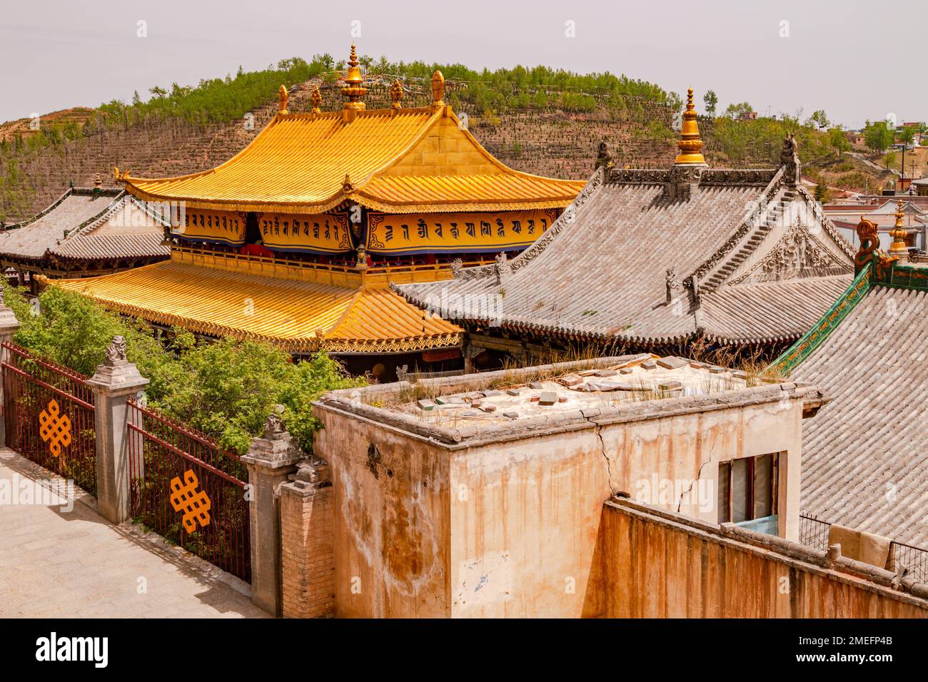 View over the golden roofs of the Tibetan monastery complex Ta'er Kumbum near Xining, China Stock Photo
