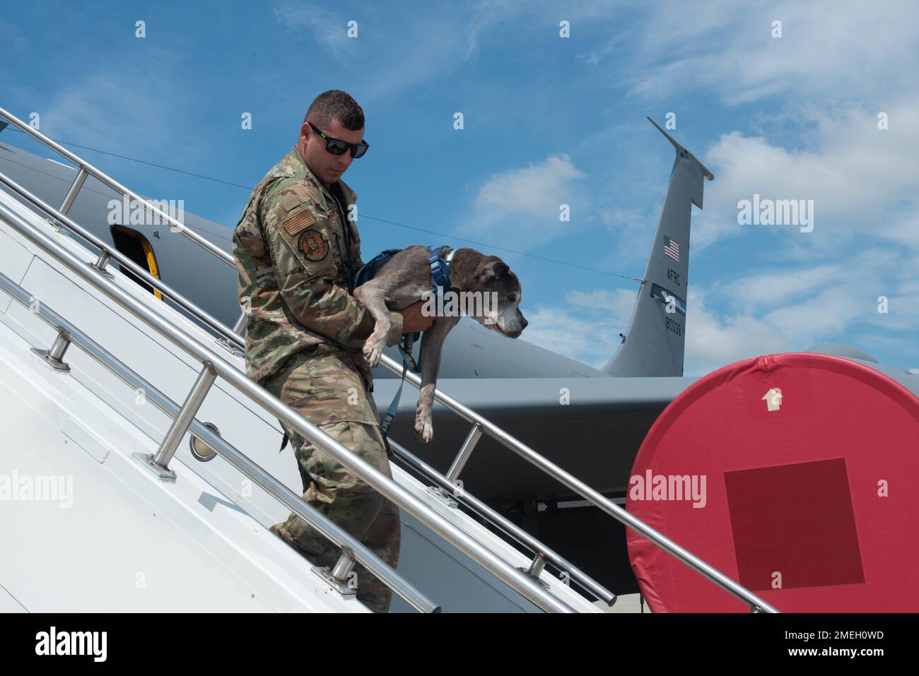 U.S. Air Force Tech. Sgt. Alexander Coppola, from the 914th Aircraft Maintenance Squadron, carries Lloyd the dog down the stairs from the KC-135 Stratotanker at Niagara Falls Air Reserve Station, New York, on Wednesday, Aug. 17, 2022. The 107th Attack Wing, Air National Guard, invited Lloyd to enjoy the day with Airmen as he battles the late stages of kidney failure. Stock Photo