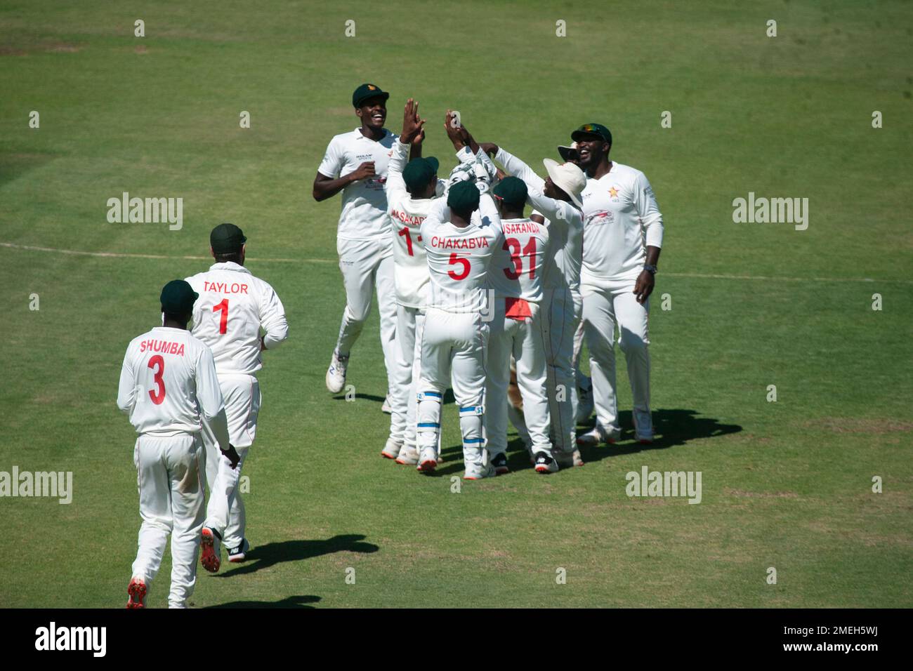 Zimbabwean players celebrate the wicket of Pakistan batsman Mohammad