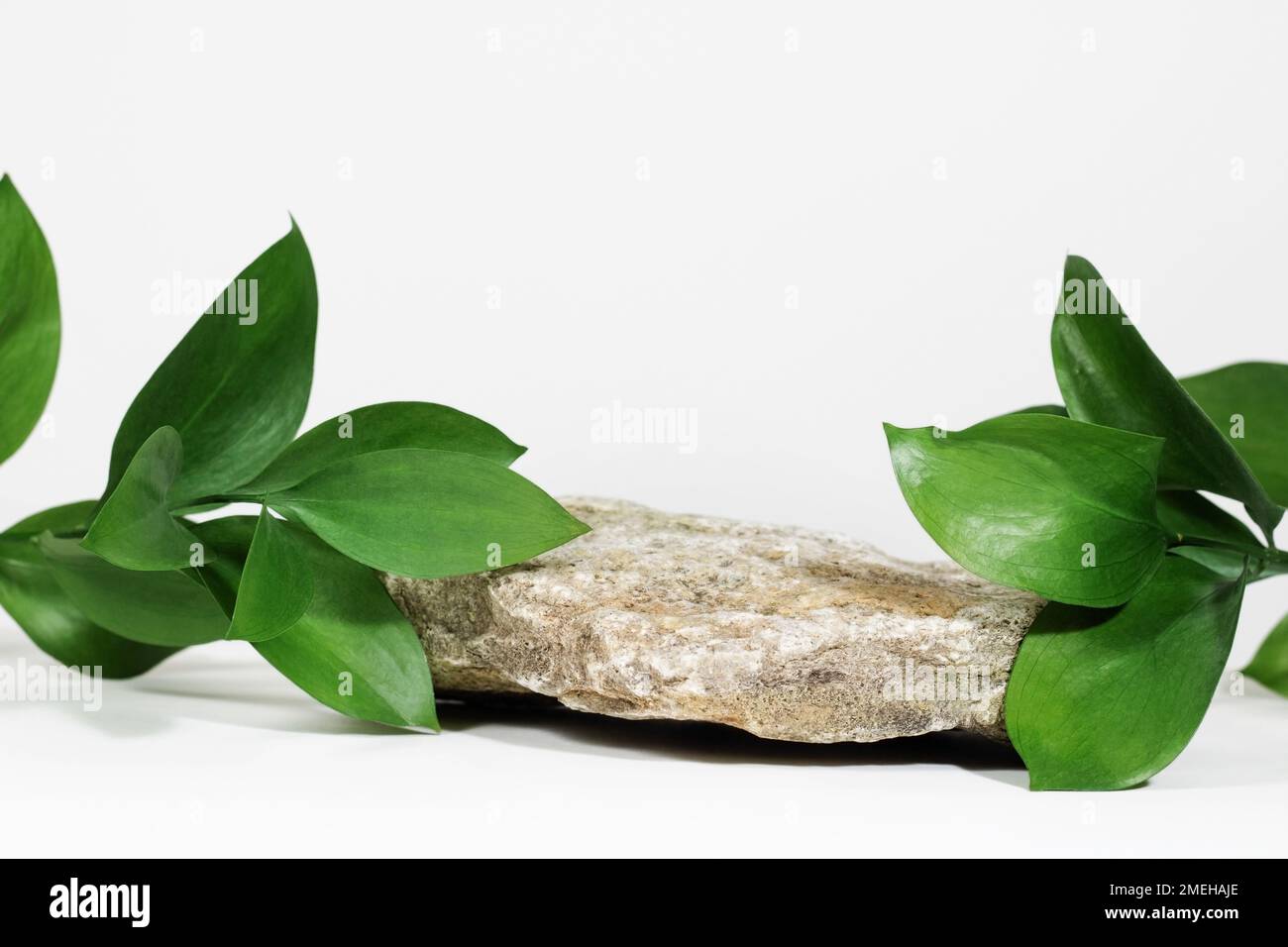 Creative layout of colorful riskus leaves on a white background in the ...