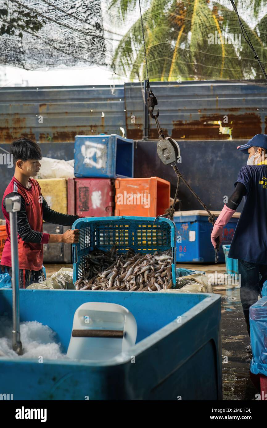 Transferring fish hi-res stock photography and images - Alamy