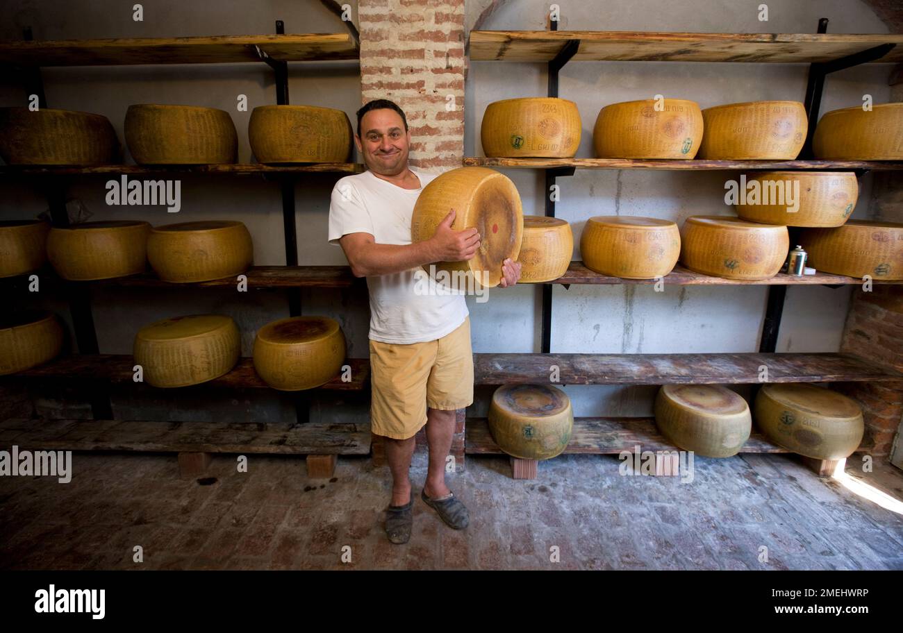Luciano Oddi in his cheese cellar with a real Parmesan cheese of just over 40 kilos Stock Photo