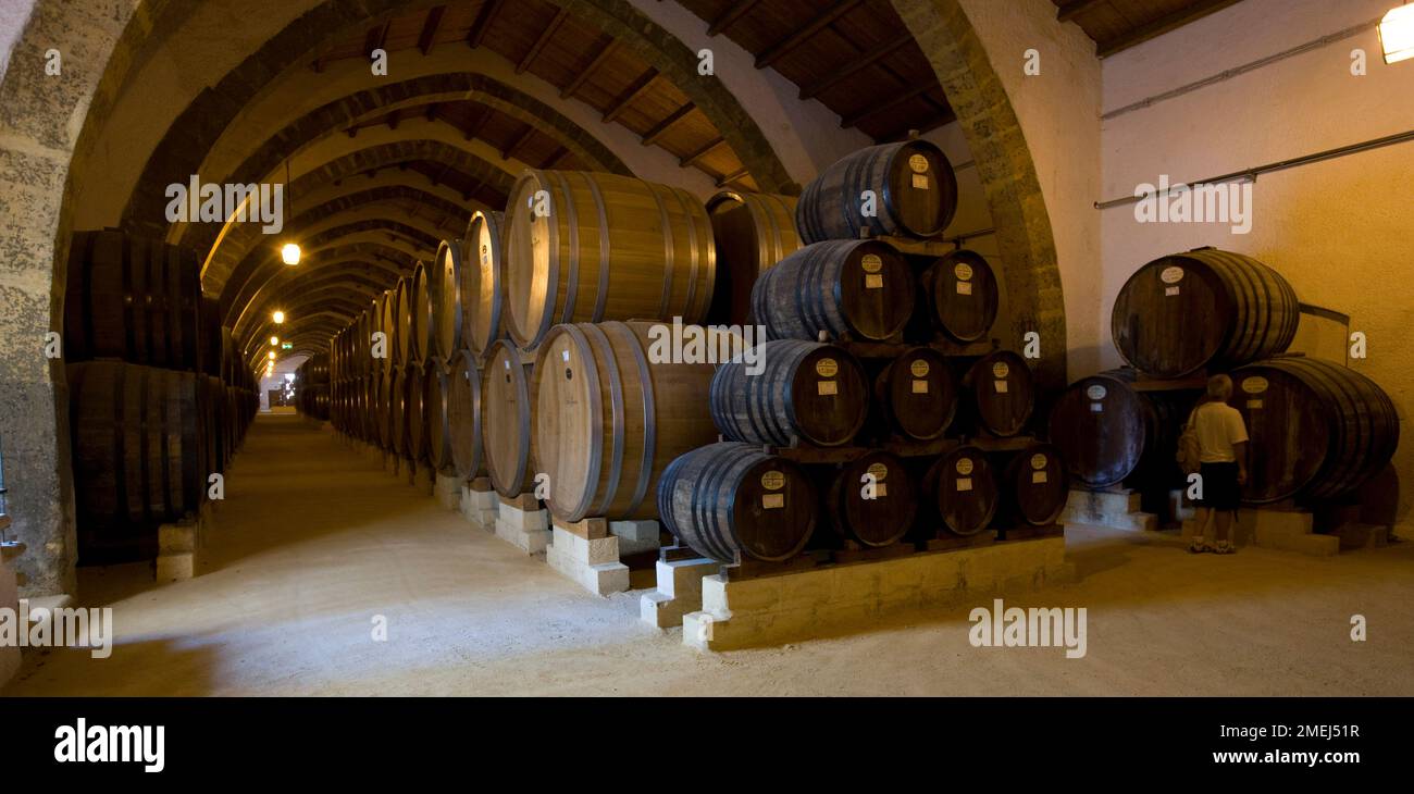 Wine barrels in the cellar of Marsala wine maker Florio in Marsala, Sicily Stock Photo