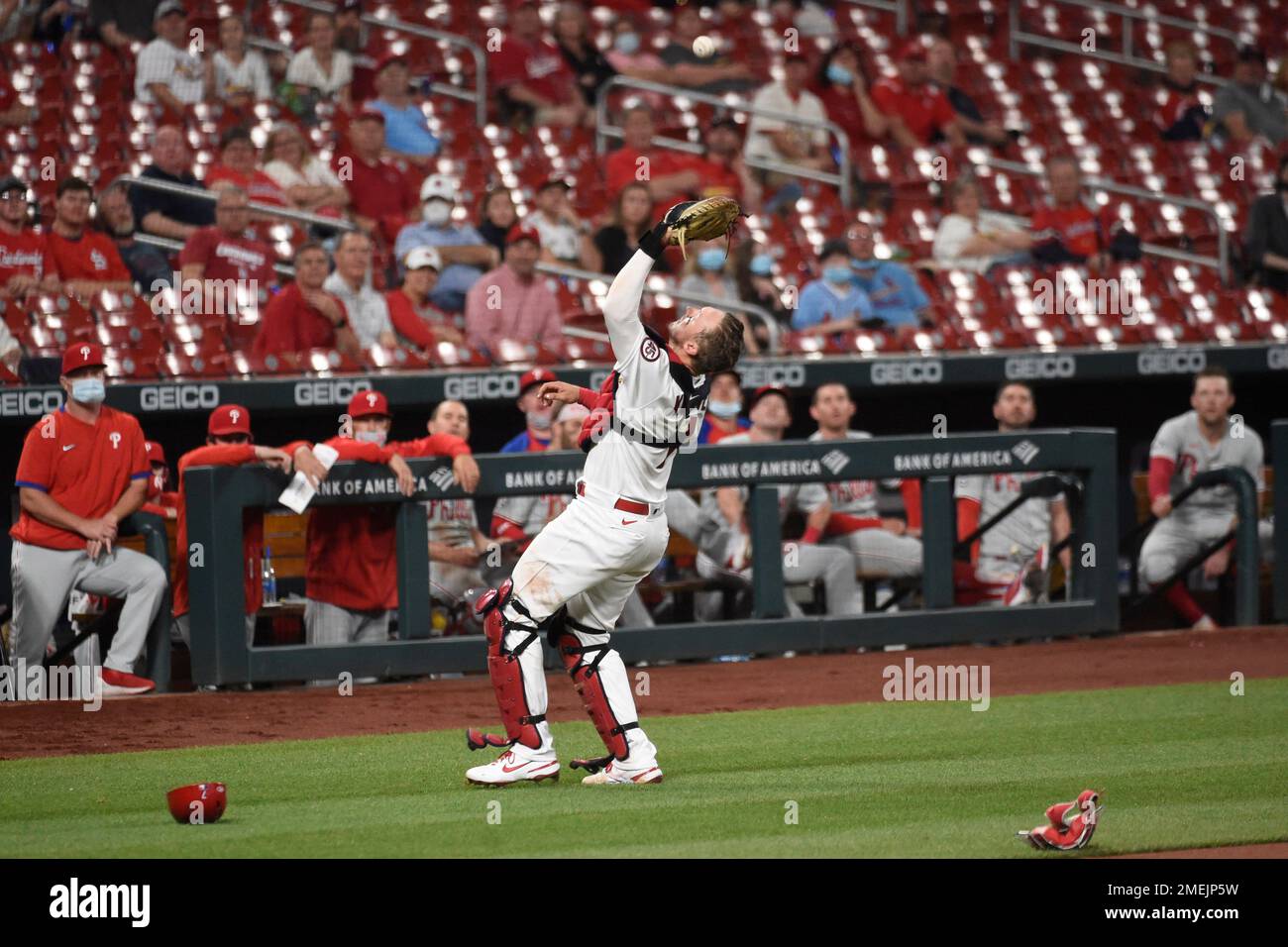 ST. LOUIS, MO - JULY 16: St. Louis Cardinals catcher Andrew Knizner (7)  during a game between the Cincinnati Reds and the St. Louis Cardinals on  July 16, 2022, at Busch Stadium