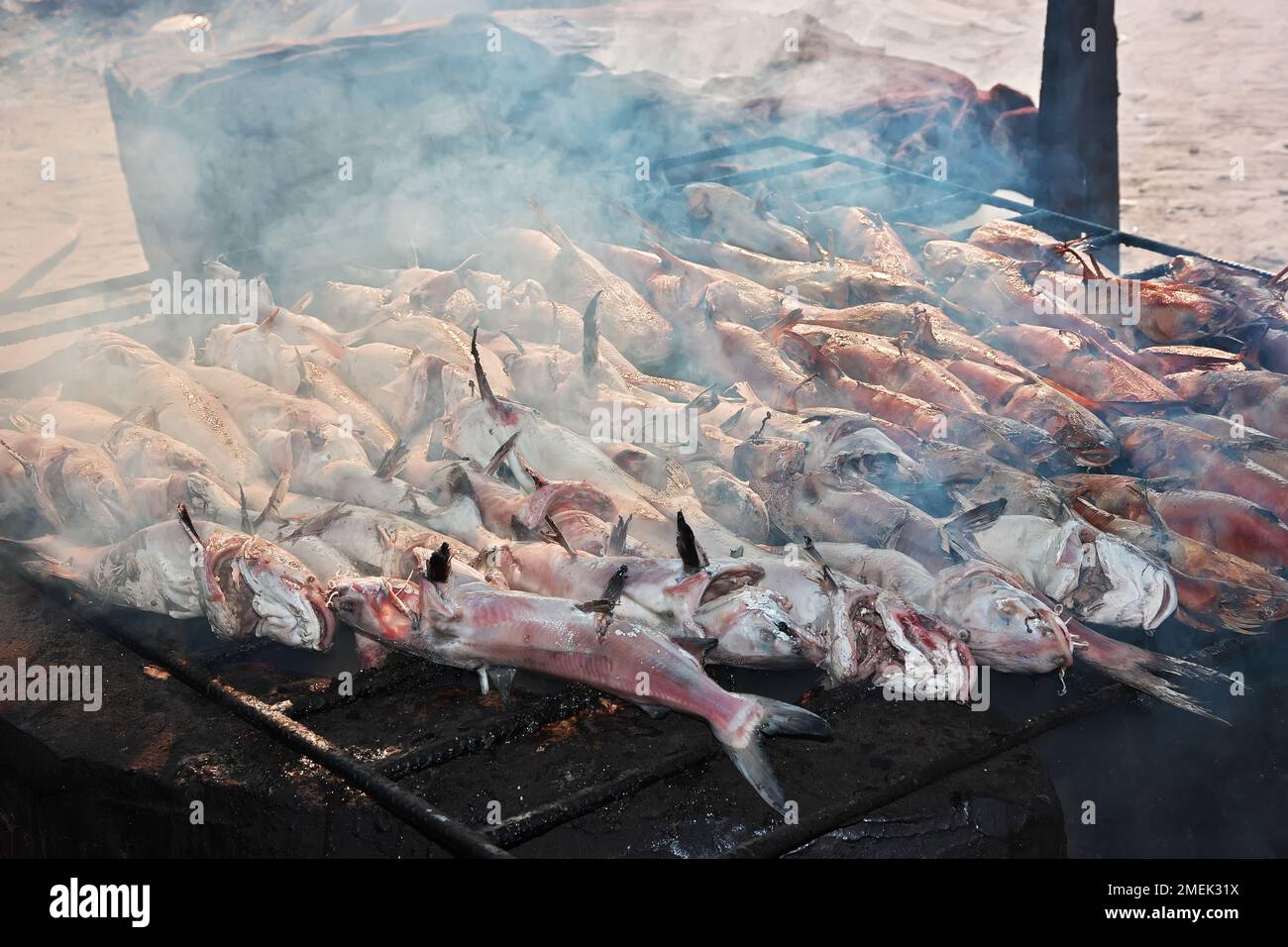 Some fish in Albert market in Banjul, Gambia, West Africa Stock Photo