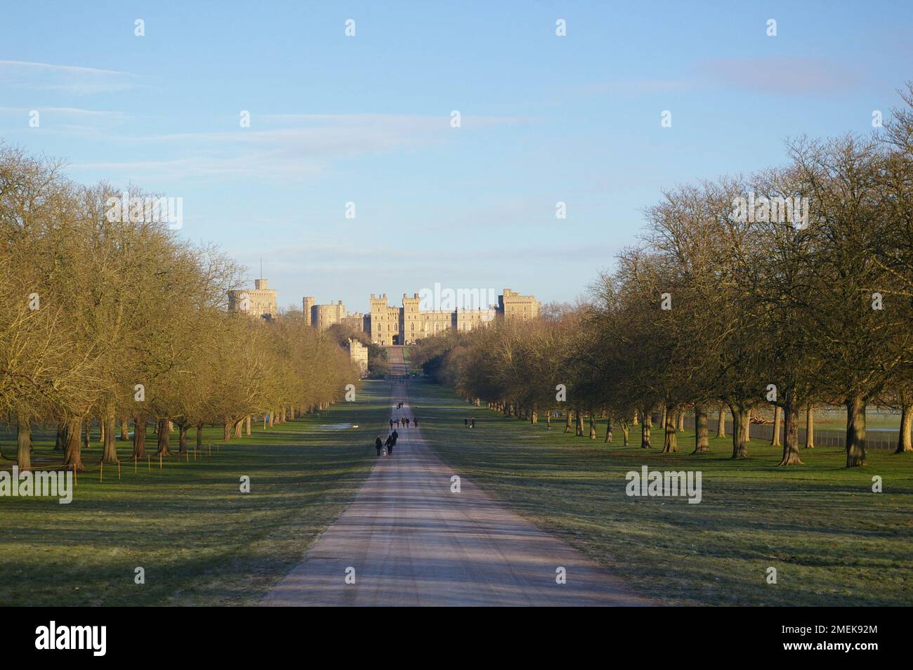 Windsor Great Prk and the Long Walk - a morning in January Stock Photo