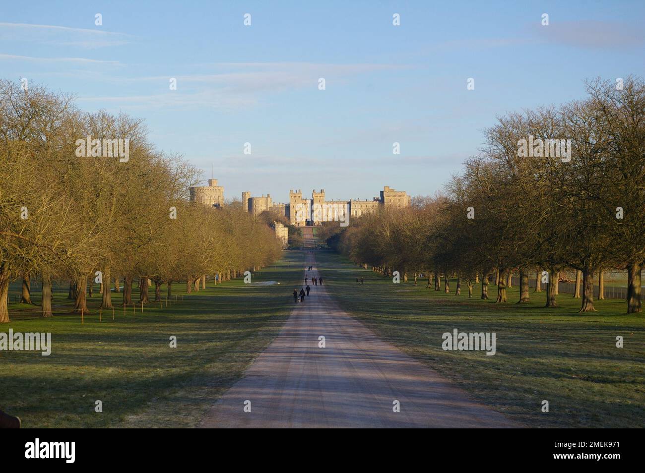Windsor Great Park and the Long Walk - a morning in January Stock Photo
