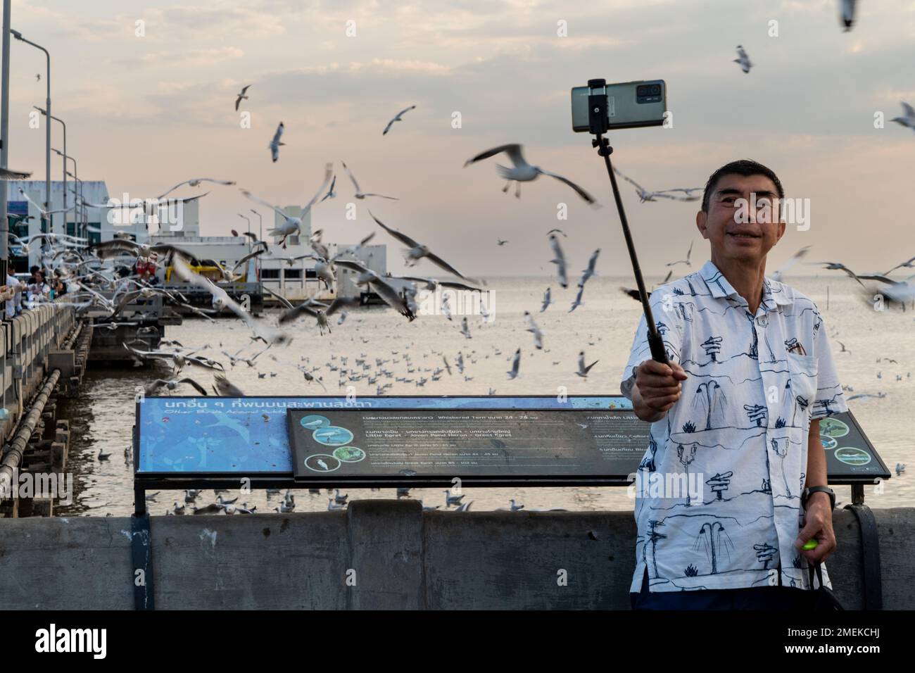 Someone poses for a selfie with a massive flock of seagulls at Bang Pu Recreational Center near Bangkok. Stock Photo