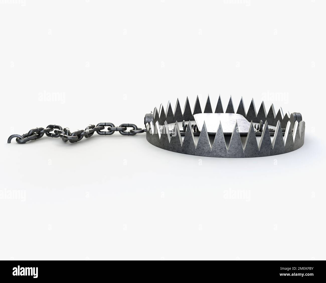 A metal animal trap that is open attached to the ground with a metal chain  on an isolated background Stock Photo - Alamy