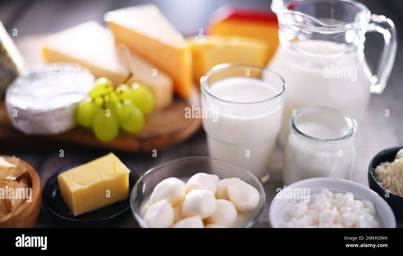 A variety of dairy products including cheese, milk and yogurt. Stock Photo