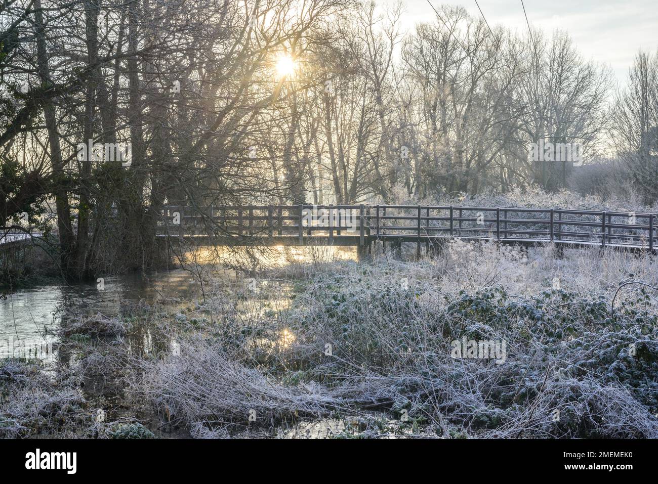 Wooden footbridge above wetlands on a cold, frosty morning, UK Stock Photo