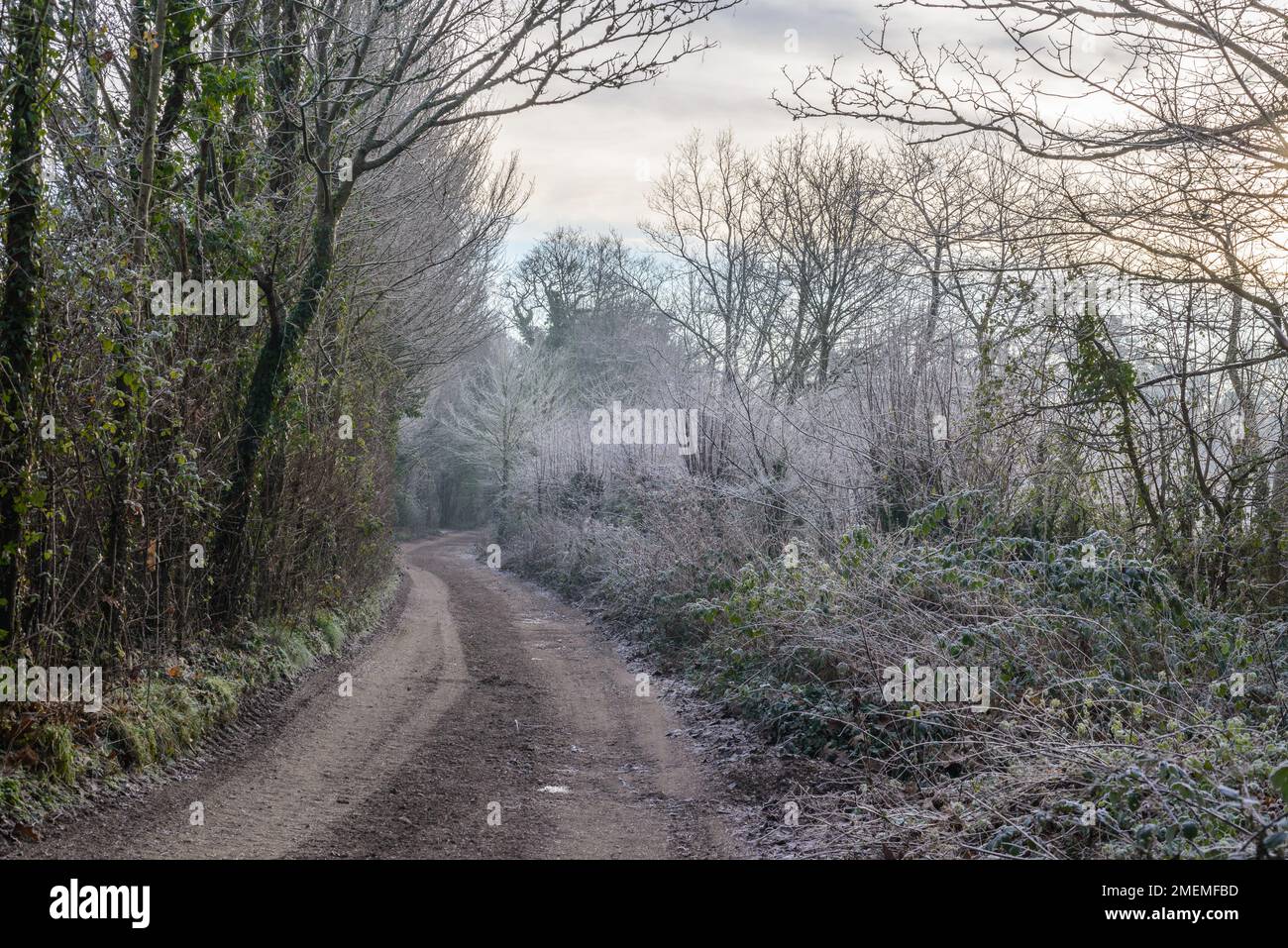 Lane track hi-res stock photography and images - Alamy