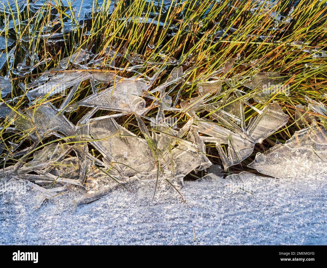 Frozen floodwater on a watermeadow in Ambleside, Lake District, UK. Stock Photo