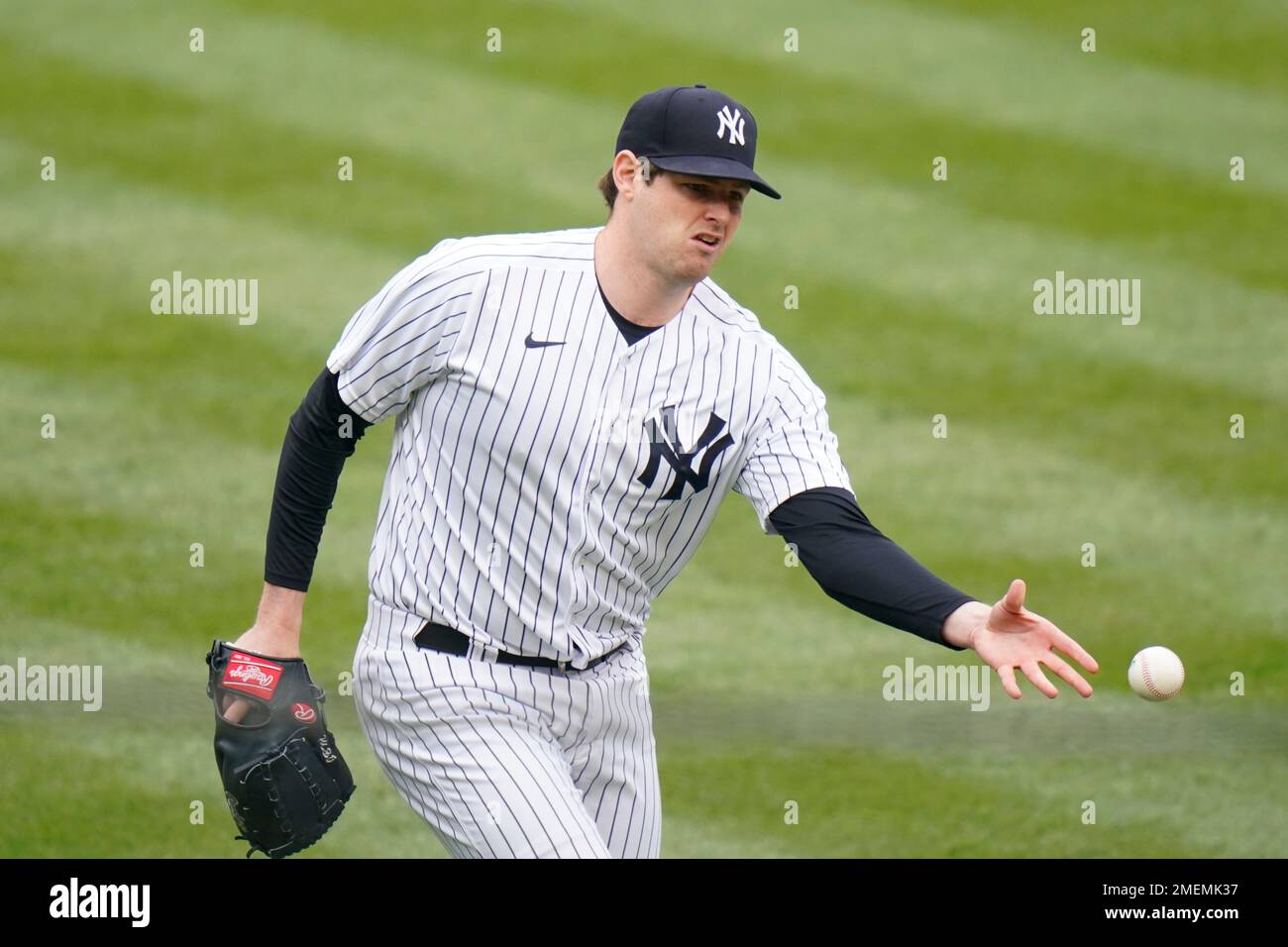 Play Ball: Spring Training Games Begin Friday In Tampa Bay