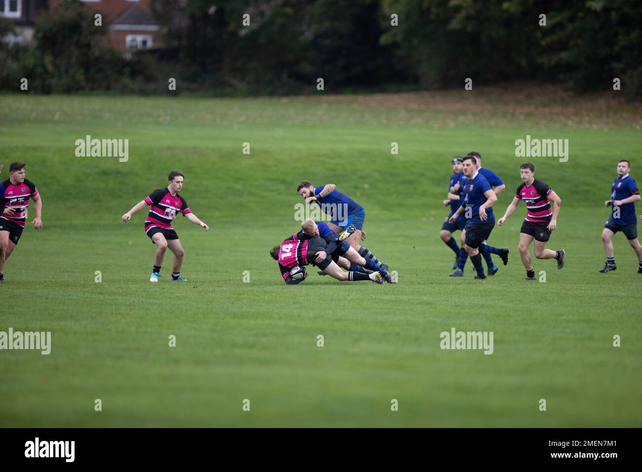 Rugby match, rugby game, rugby player, rugby scrum, rugby tackle, rugby ...