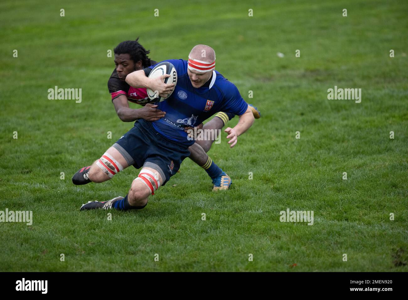 Rugby match, rugby game, rugby player, rugby scrum, rugby tackle, rugby ...