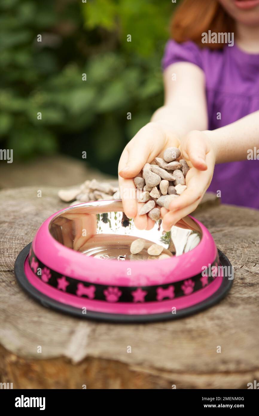 filling dog bowl with gravel pet grass Stock Photo Alamy