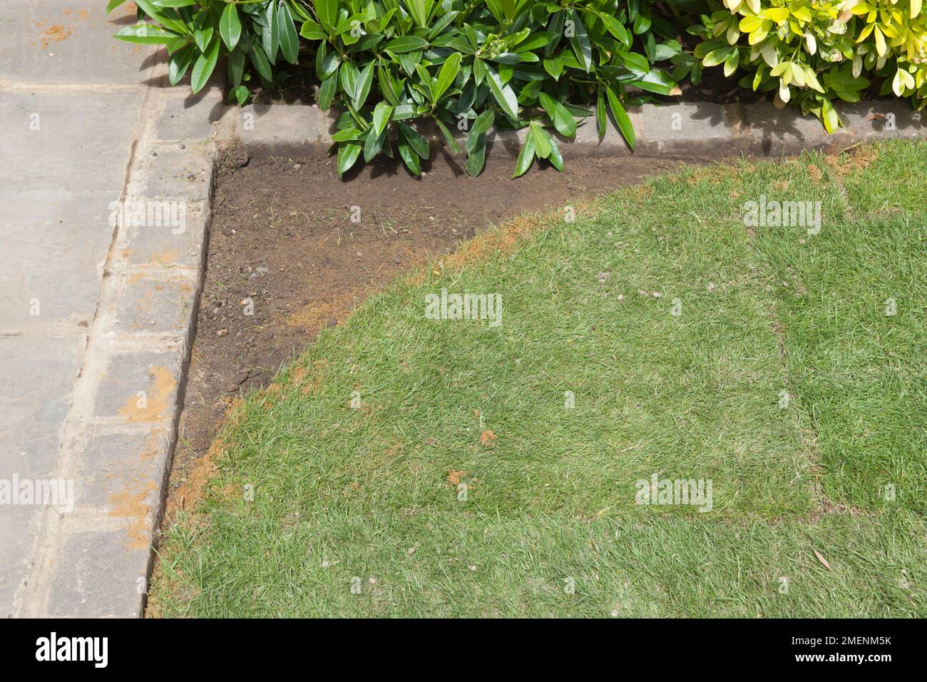 Lawn showing a new curved edge where the turf has been cut away Stock Photo
