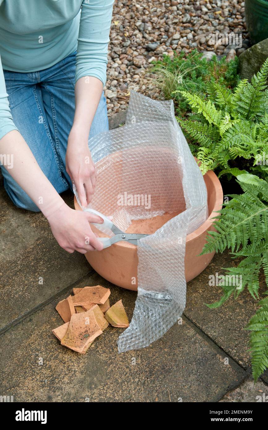 Planting a terracotta pot with mixed ferns ? Tip. Line pot with bubble
