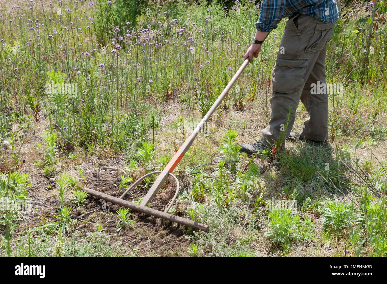 Meadow Raking Raking the soil hi-res stock photography and images - Alamy