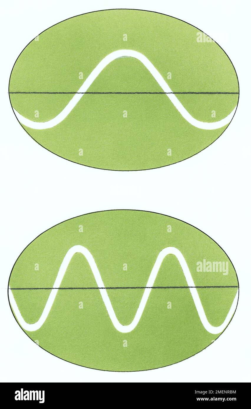 High frequency sound wave Stock Photo Alamy