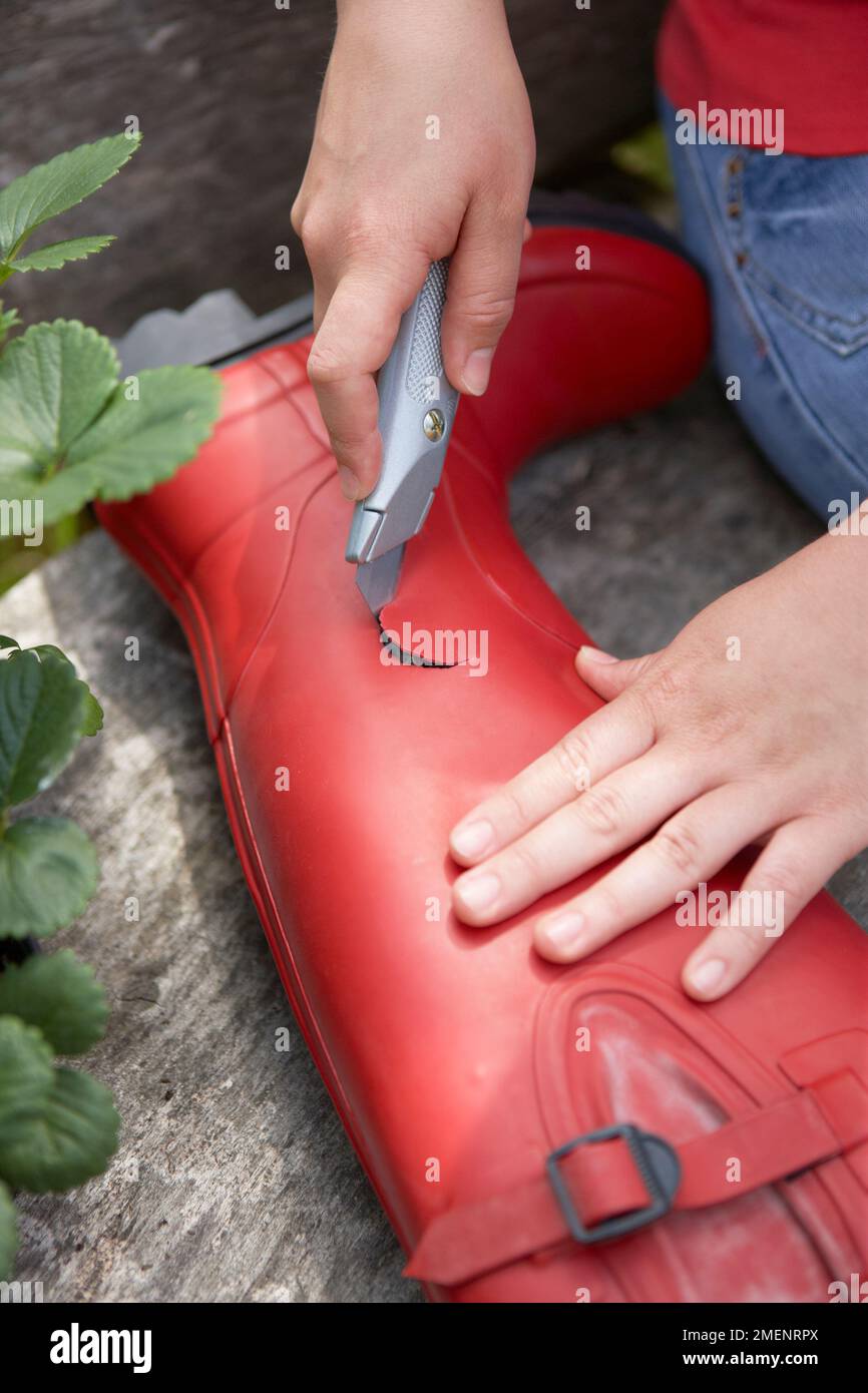 strawberry, hand cutting hole in red welly with stanley knife Stock Photo