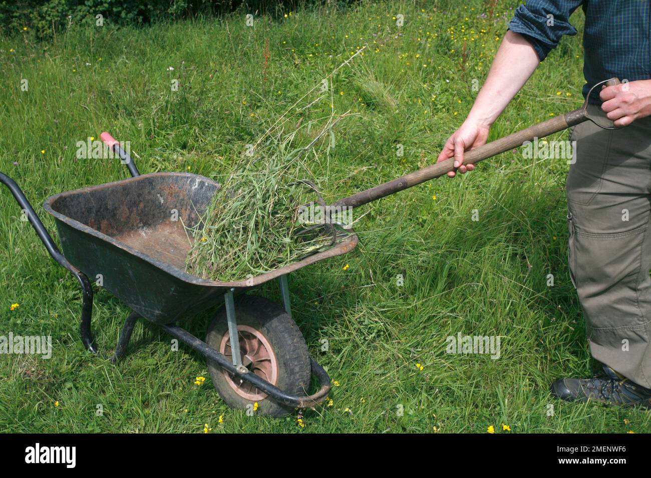 Man using wheelbarrow hi-res stock photography and images - Alamy
