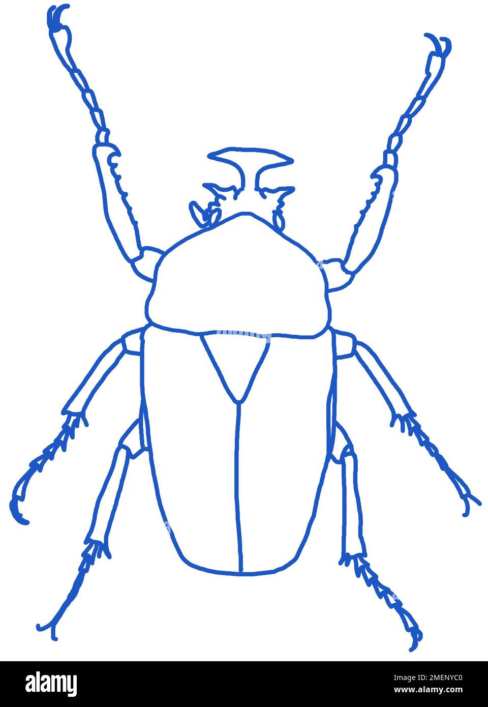 Frog beetle outline in blue Stock Photo