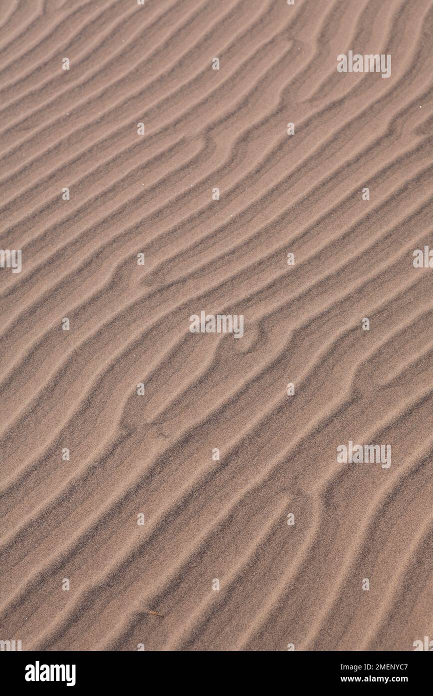 USA, California, Mojave National Preserve, Kelso Dunes (Kelso Dune Field), sand ripples, close-up Stock Photo