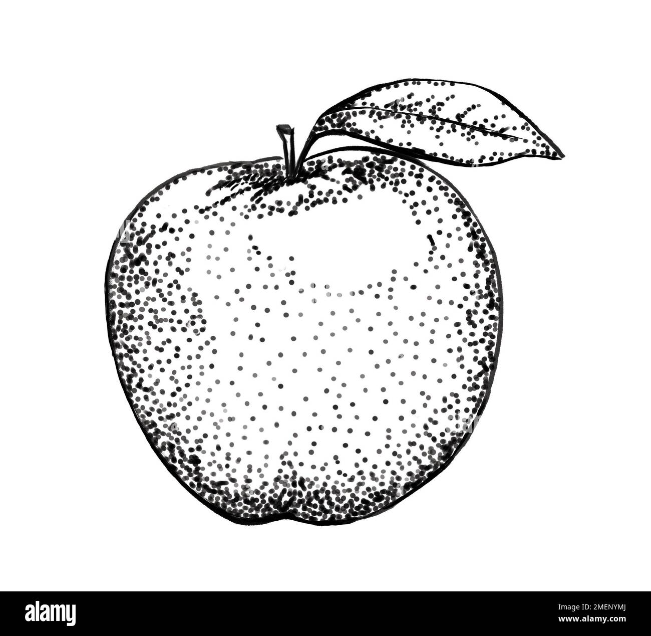 Shaded stippling apple Stock Photo