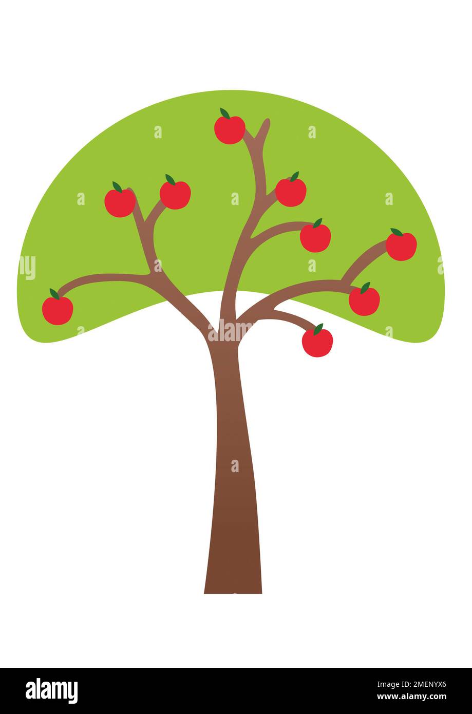 The fruit of the tree Cut Out Stock Images & Pictures Alamy