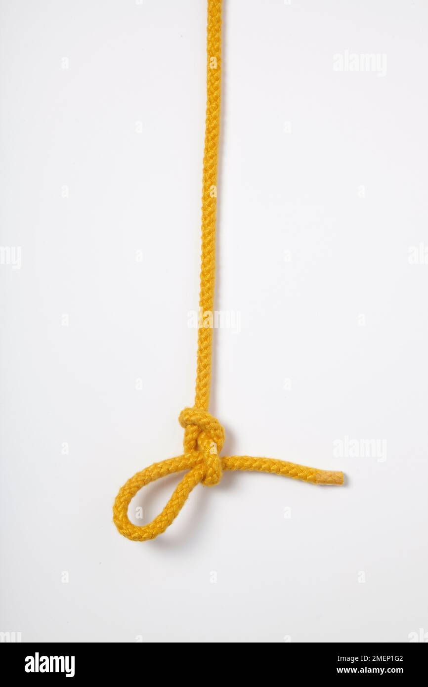 Slipped Figure of Eight, stopper knot tied in yellow rope Stock Photo
