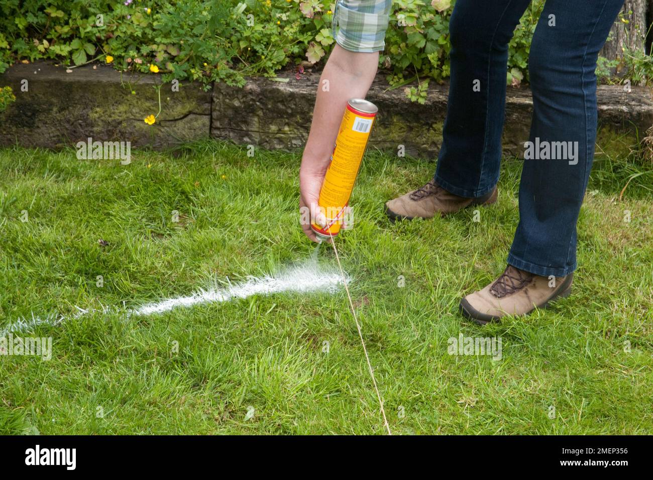 Shaping a lawn. Marking out semicircle using string and line marking paint Stock Photo Alamy