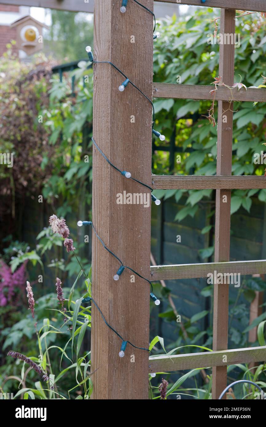 Fairy lights coiled around wooden trellis Stock Photo Alamy
