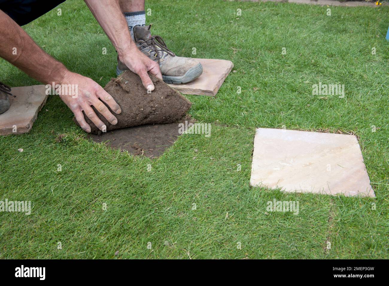 Lifting a square of cutout lawn in order to lay paving slab Stock