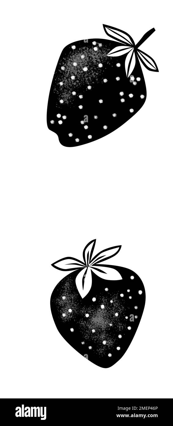 Strawberries Black and White Stock Photos & Images Alamy