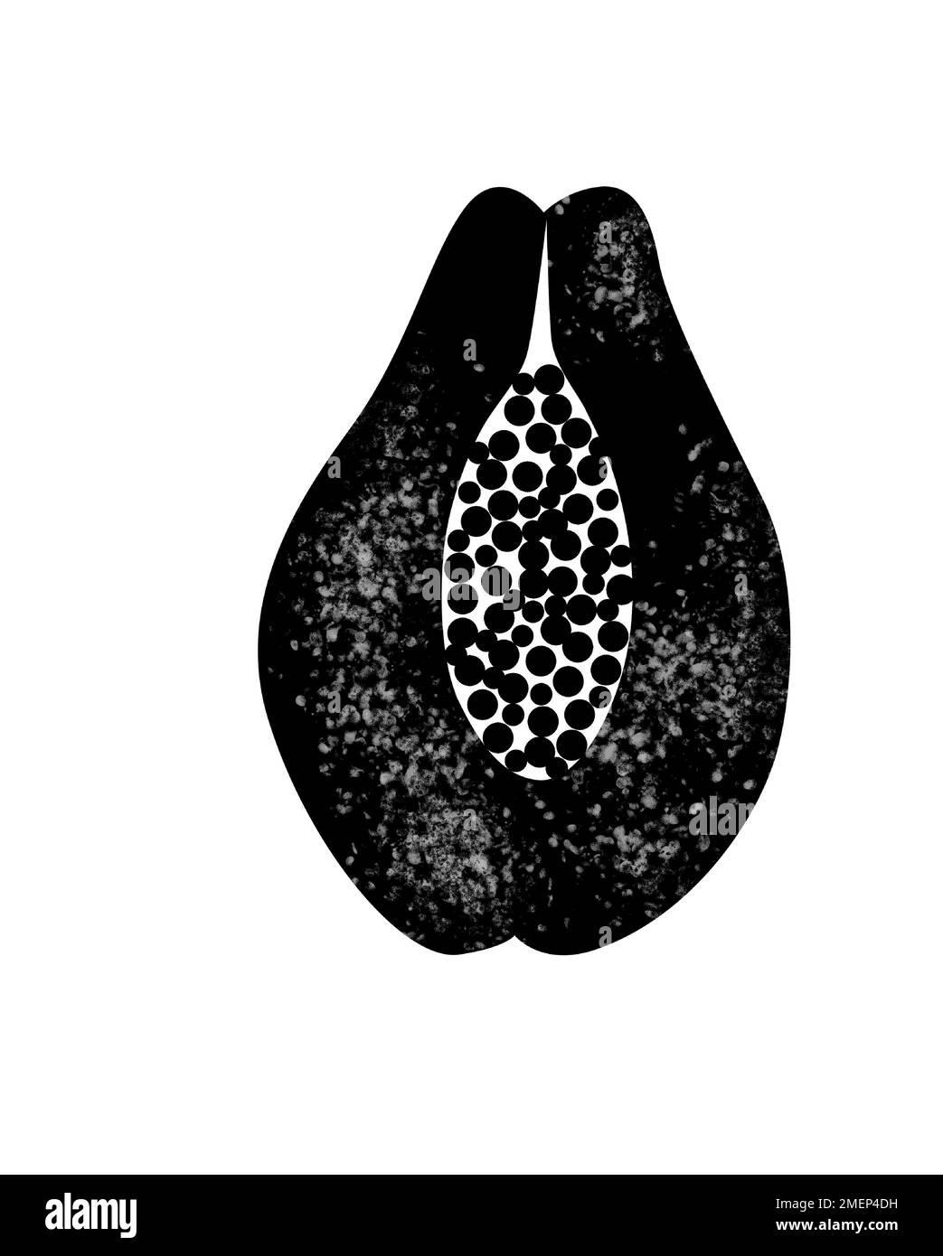 papaya Stock Photo