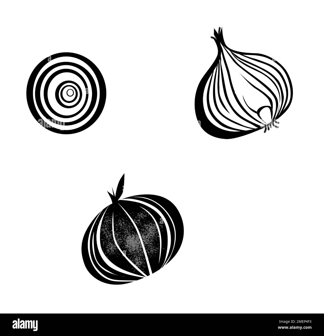 Layers of onion Black and White Stock Photos & Images Alamy