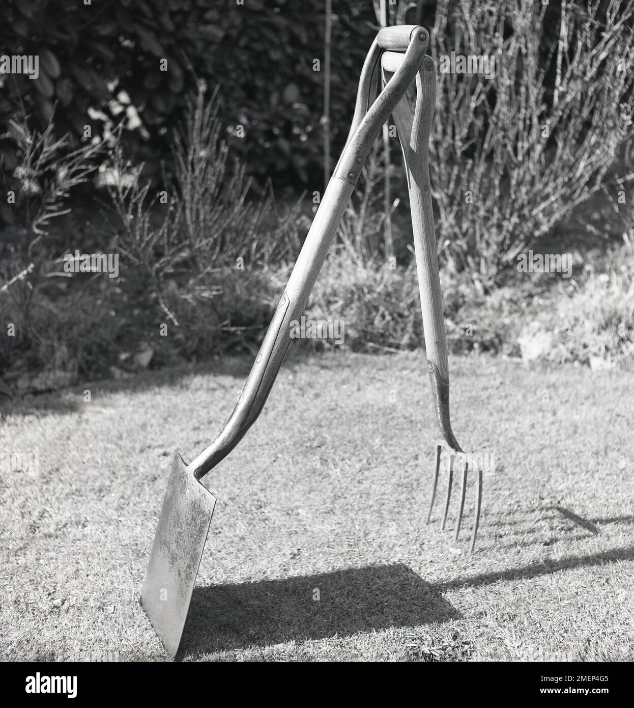 1950s, historical, life balance..., outside on a lawn, a wooden handled garden spade and garden fork balanced against each other. Stock Photo
