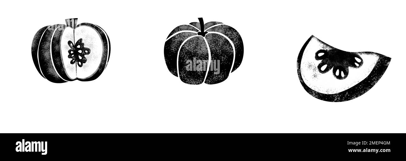 Black white pumpkin illustration Black and White Stock Photos & Images ...