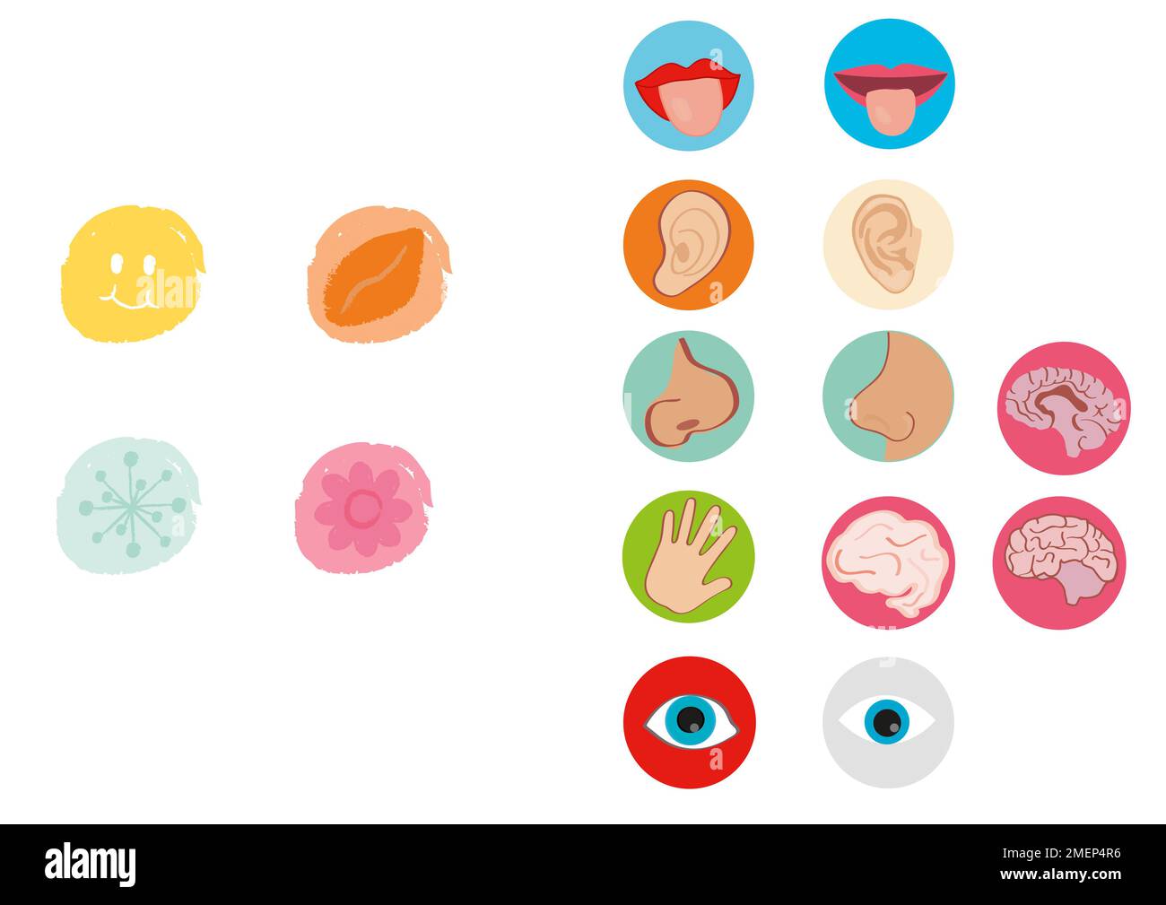 Senses icons hi-res stock photography and images - Alamy