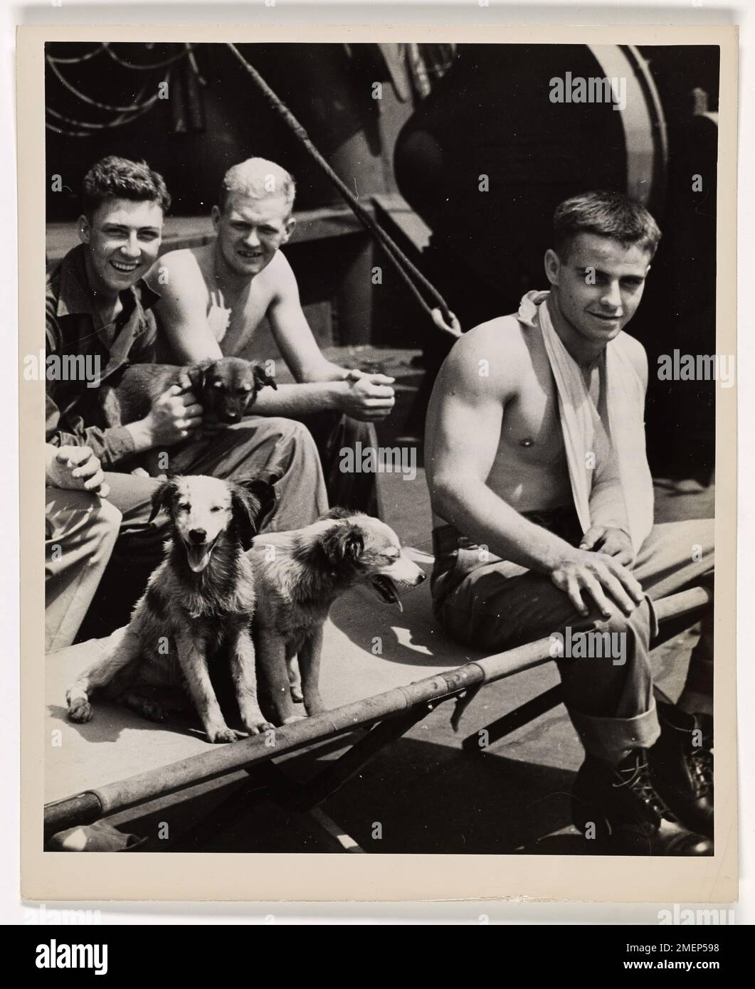 ''When Good Fellows Get Together''. Back from the bloody hell of Peleliu, Coast Guardsmen and Marines, some marked by Jap fire, are warmly welcomed by the mascot dogs of a Coast Guard-manned invasion transport. The pups that go along to the Pacific invasions are good companions and true pals of Yankee invaders. Here three happy mutts gather with three convalescent fighting men to catch a bit of the sun. Stock Photo