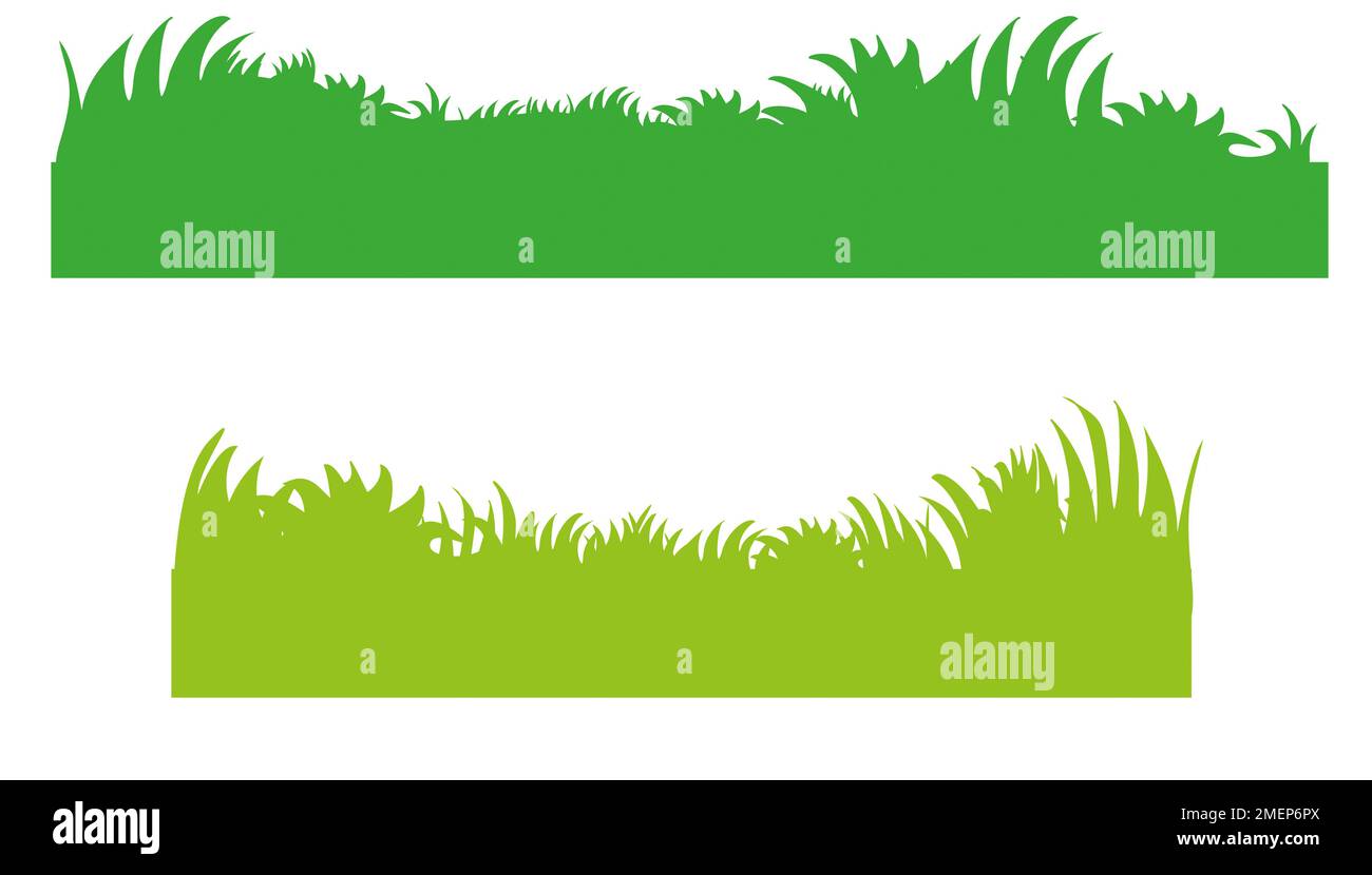 Illustration of green grass Stock Photo
