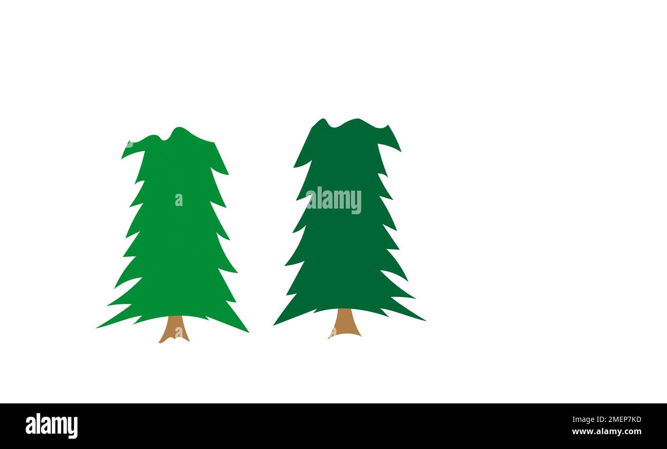 Types of fir christmas trees