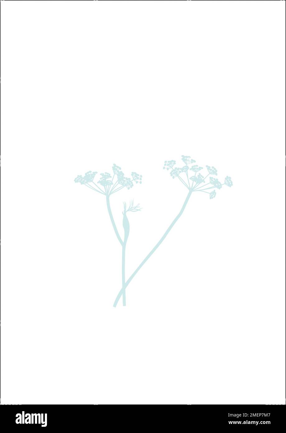 Plant growth digital vector hi-res stock photography and images - Alamy